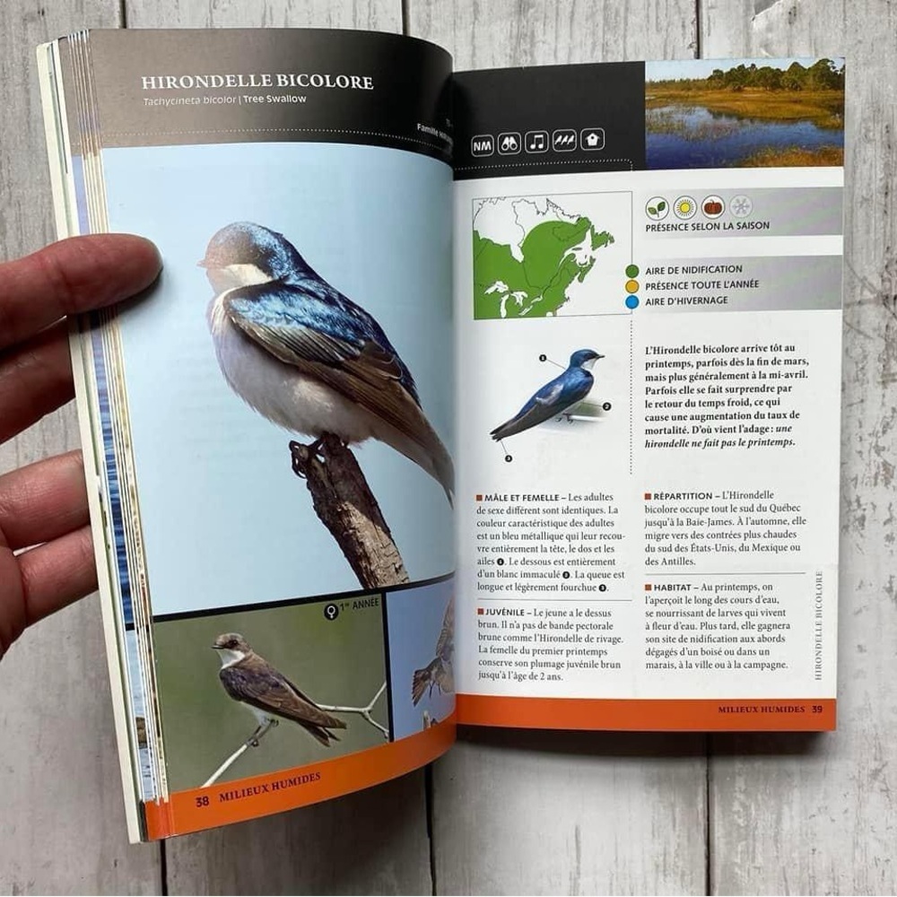 3📚/$25 📍 Les Oiseaux Familiers du Québec - Picture 7 of 7